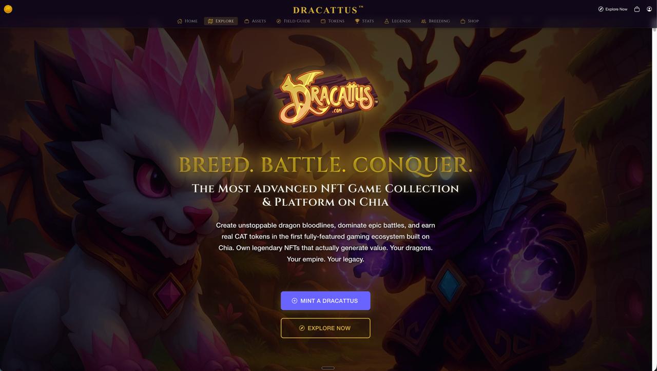 Dracattus